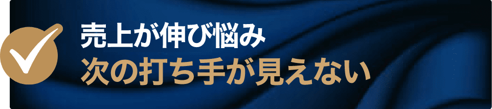 売上が伸び悩み次の打ち手が見えない