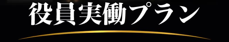 役員実働プラン
